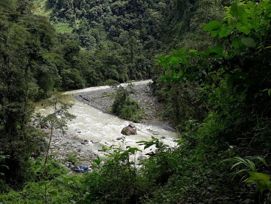 Paraíso 3